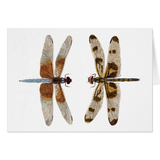 2 Dragonflies Card