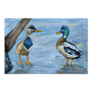 2 Ducks in A Conversation_0185_n400_tele Photo Print