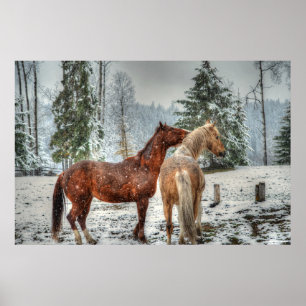 2 Friendly Ranch Horses, Dun, Palomino Paint Photo Poster