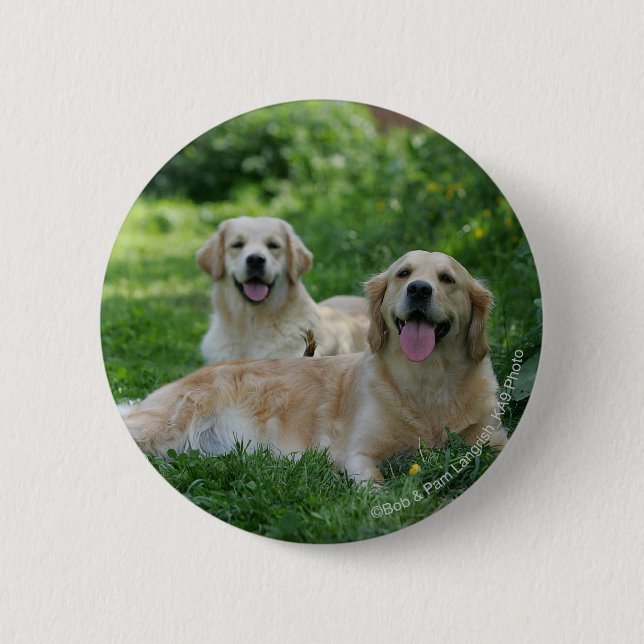 2 Golden Retrievers Laying in Grass 6 Cm Round Badge (Front)
