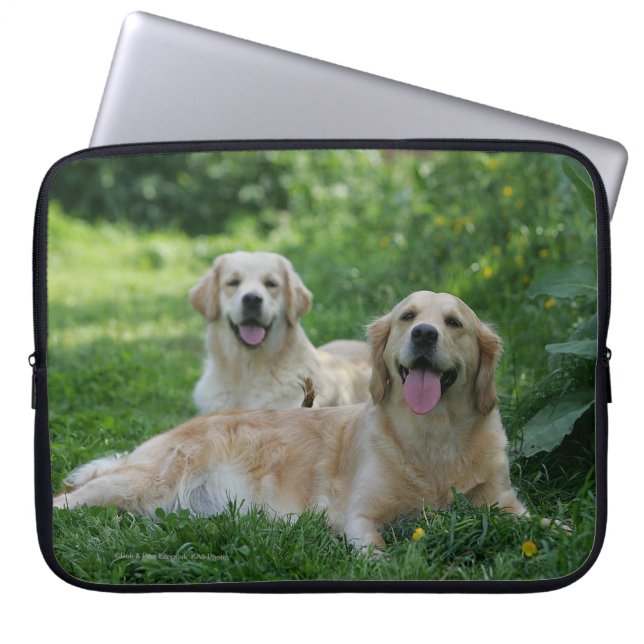 2 Golden Retrievers Laying in Grass Laptop Sleeve (Front)