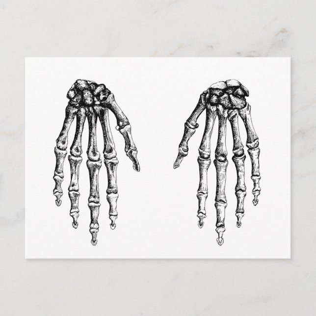 2 Hands Down White Postcard (Front)