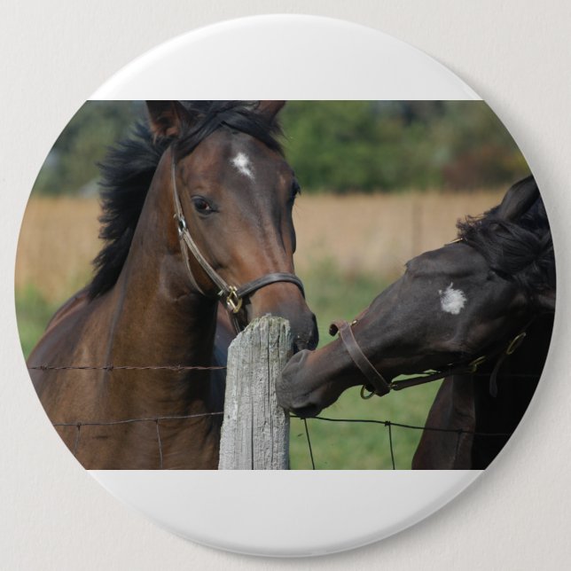 2 Horses Chewing a Fence Post 6 Cm Round Badge (Front)