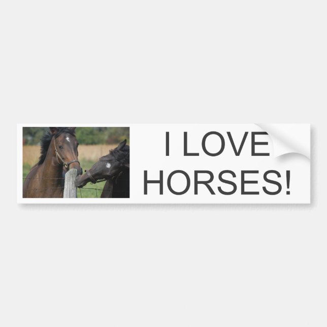 2 Horses Chewing a Fence Post Bumper Sticker (Front)