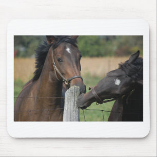 2 Horses Chewing a Fence Post Mouse Mat