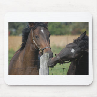 2 Horses Chewing a Fence Post Mouse Mat