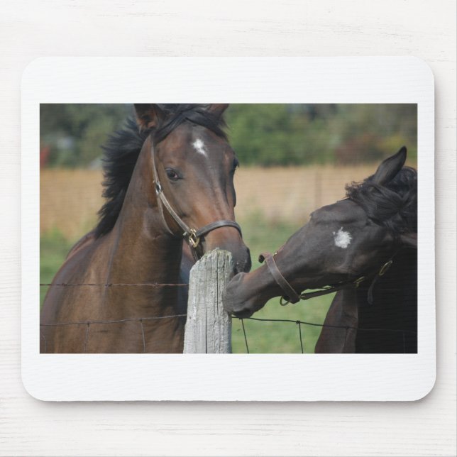 2 Horses Chewing a Fence Post Mouse Mat (Front)