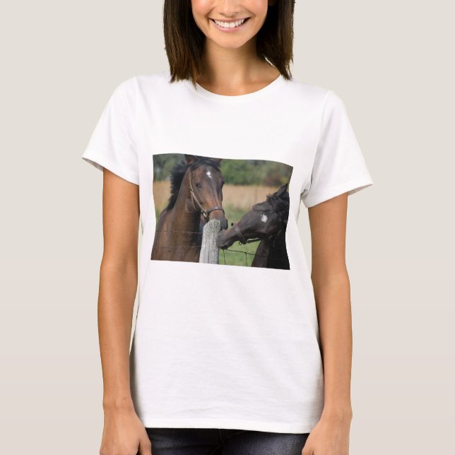 2 Horses Chewing a Fence Post T-Shirt (Front)