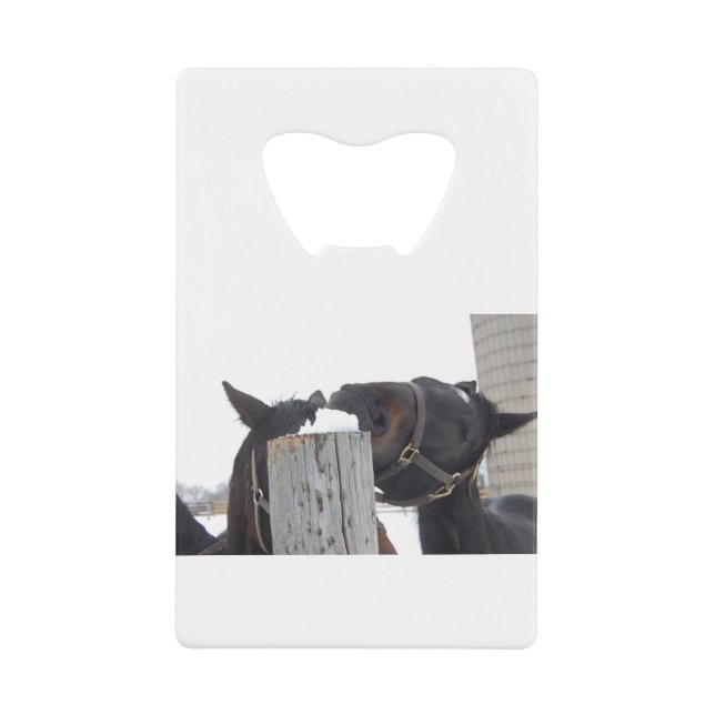 2 Horses chewing on a Snowy Fence (Front)