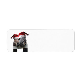2 Horses wearing Santa Claus hats for Christmas