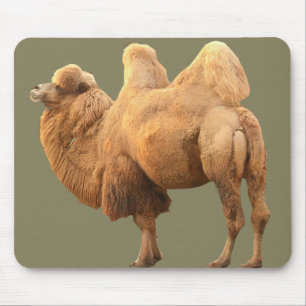 2 HUMP CAMEL MOUSE MAT