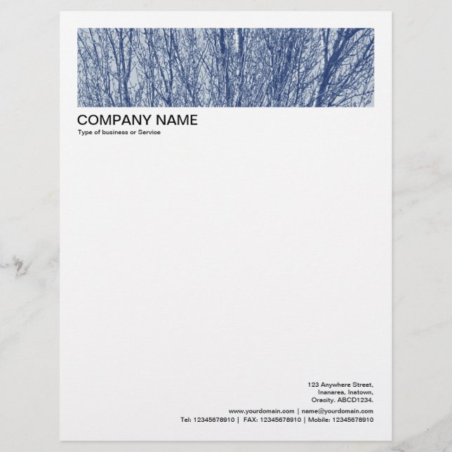 2 in Header 1/2 Inch Border - Birch Branches 02 Custom Letterhead (Front)
