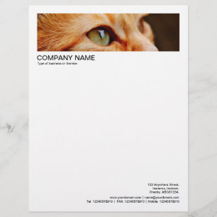 2 in Header 1/2 Inch Border - Cat Custom Letterhead