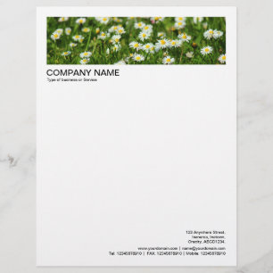 2 in Header 1/2 Inch Border - Daisies and Grass Custom Letterhead