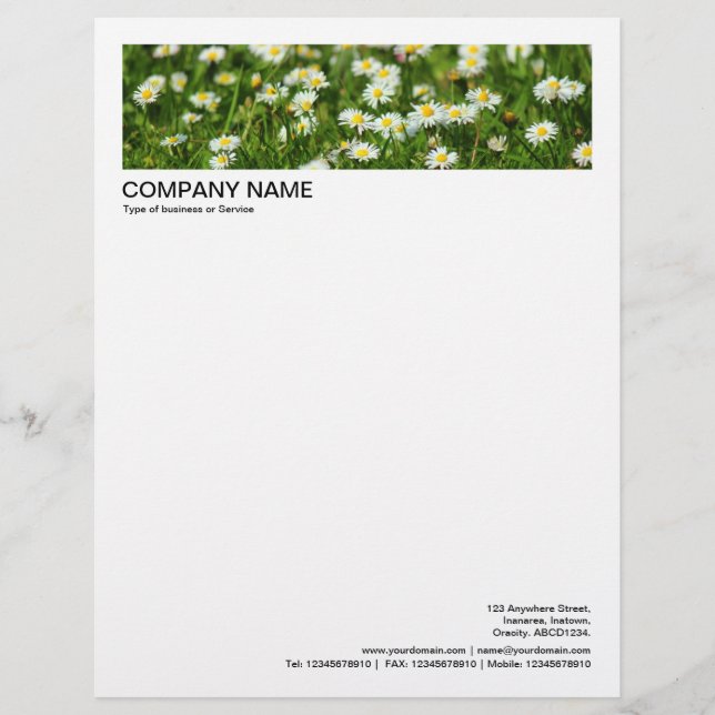2 in Header 1/2 Inch Border - Daisies and Grass Custom Letterhead (Front)