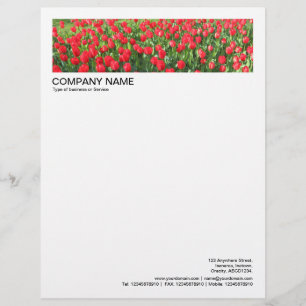 2 in Header 1/2 Inch Border - Red Tulips Custom Letterhead