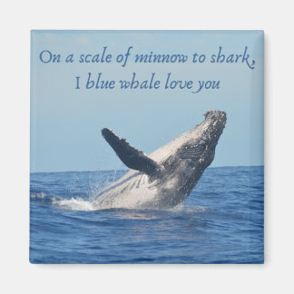 2 Inch Square Magnet