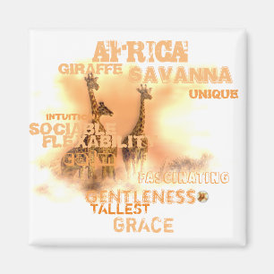 2 Inch Square Unique Giraffes Magnet