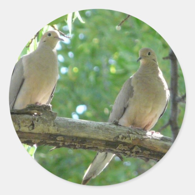 2 morning doves classic round sticker (Front)