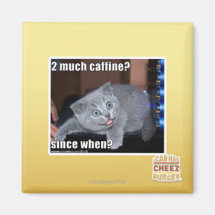 2 much caffine? magnet