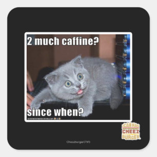 2 much caffine? square sticker