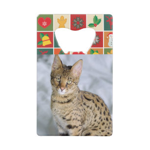 2 Personalise Photos of Pets Cat Kittens Christmas