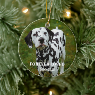 2 Pet Photo & Free Text Personalized Memorial Ceramic Tree Decoration