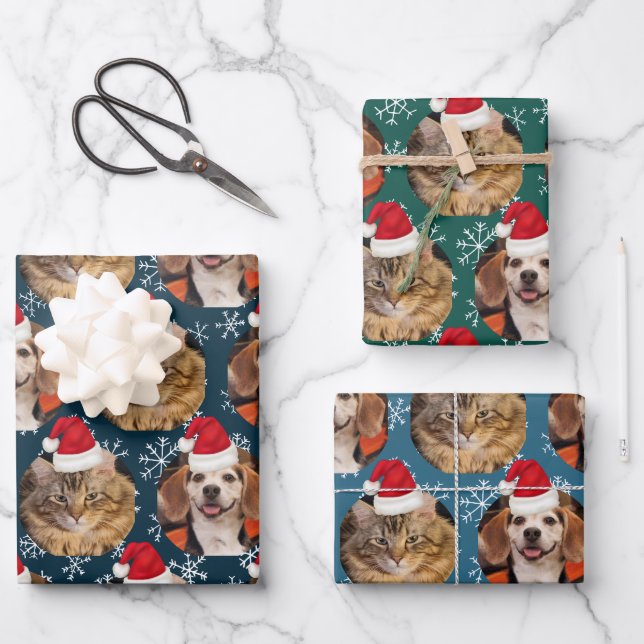2 Pet Photo Santa Hat on Heads Blue Teal Wrapping  Paper Sheet (Front)