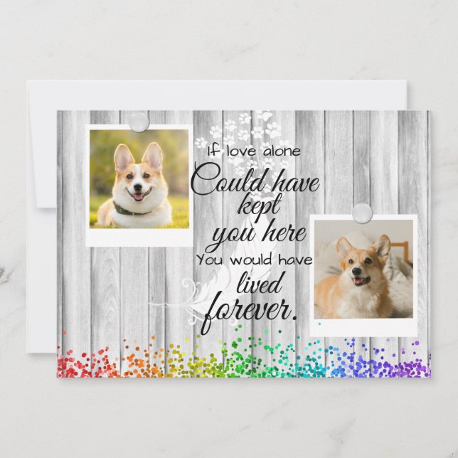 2 Photo Collage Pet Memorial Remembrance  Card (Front)