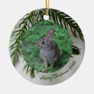 2 Photo Front & Back Evergreen Christmas Ornament