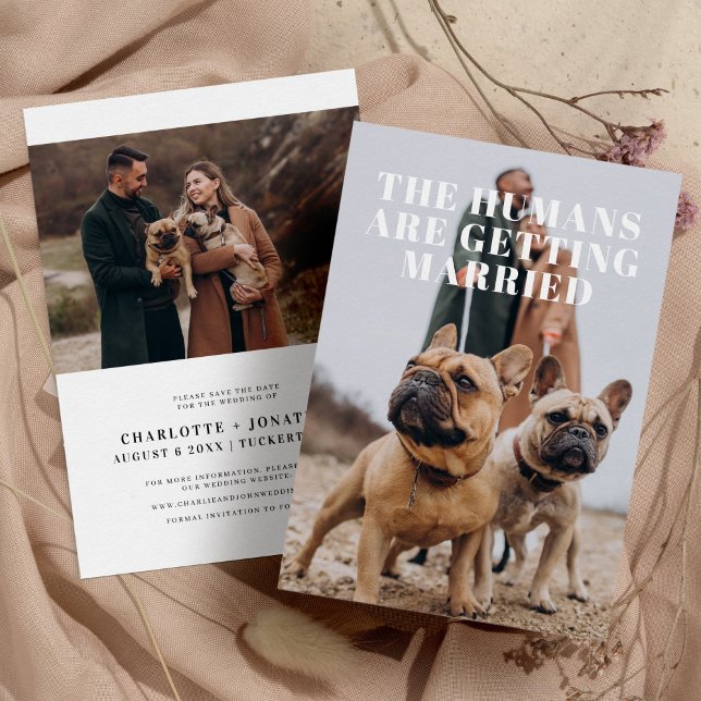 2 Photo Simple Funny Dog Wedding Save The Date (Creator Uploaded)