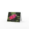 2 pink water lilies greeting card #1  7711
