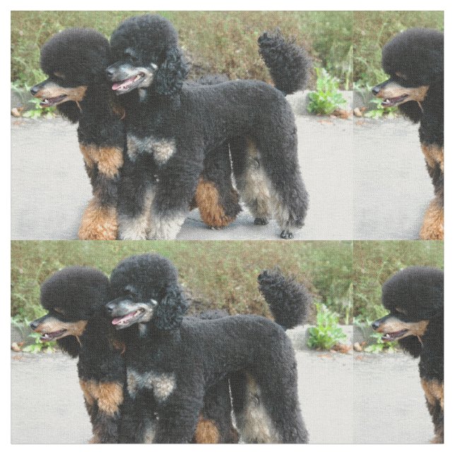 2 poodles full fabric (Close Up)