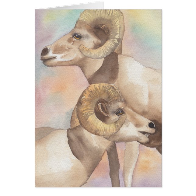 "2 Rams Watercolor Sketch/Arrowhead" Greeting Card (Front)