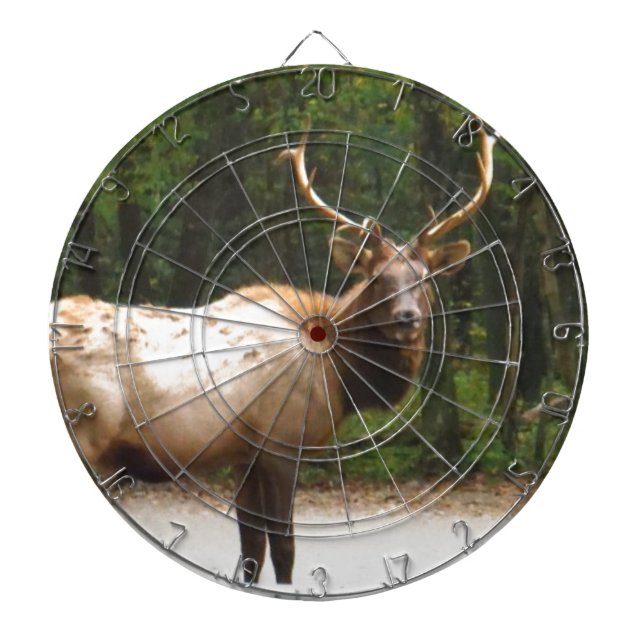 2 Rocky Mountain Elk Dartboard (Front)