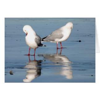 2 Seagulls on a Beach