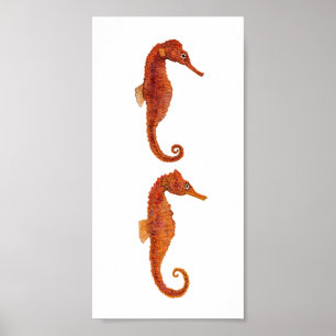 2 Seahorses Poster