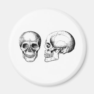 2 Skulls White Magnet