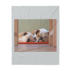 2 sleeping bulldogs.png