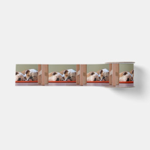 2 sleeping bulldogs.png grosgrain ribbon
