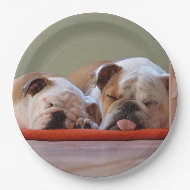 2 sleeping bulldogs.png paper plate (Front)
