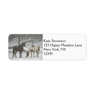2 Snowy Horses Standing Under a Tree