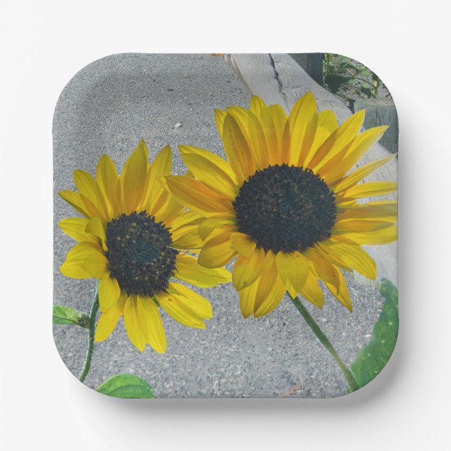 2 Sunflowers wedding or country eats Paper Plate (Front)