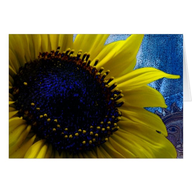 2 Suns (Front Horizontal)