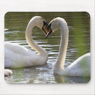 2 Swans on the Water Mouse Mat