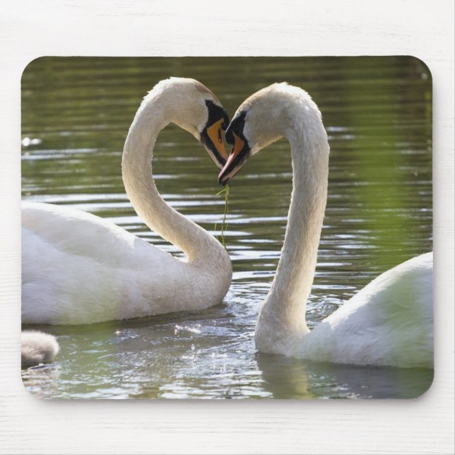 2 Swans on the Water Mouse Mat (Front)