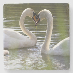 2 Swans on the Water Stone Coaster
