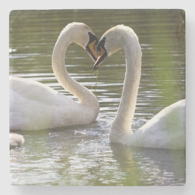2 Swans on the Water Stone Coaster (Front)