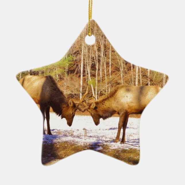2~ two Bull Elk in the snow Ceramic Tree Decoration (Front)