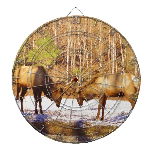 2~ two Bull Elk in the snow Dartboard (Front)